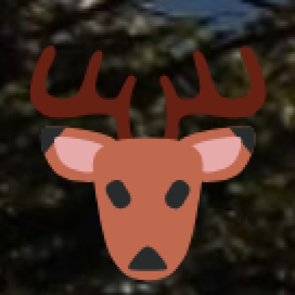 Wildlife Safari at Asola Bhatti Wildlife Sanctuary