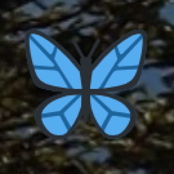 Paragliding & Aerial Sports (Seasonal & Limited)