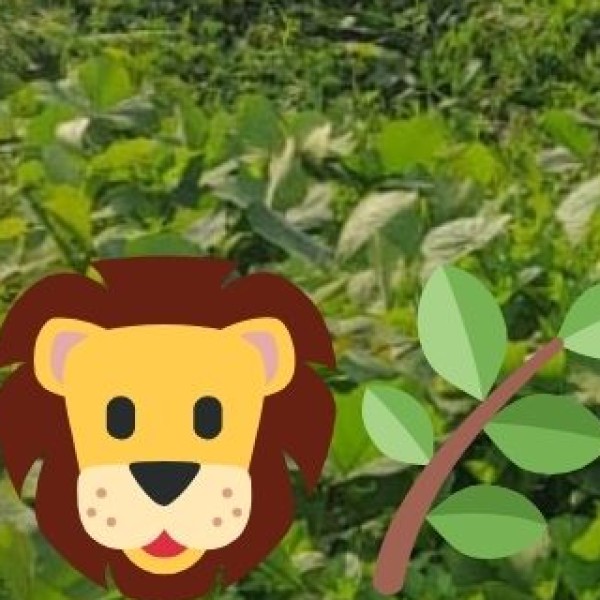 Wildlife & Nature Reserves