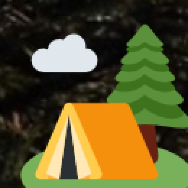 Camping & Wildlife Adventures
