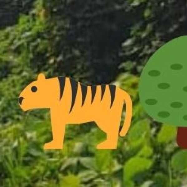 Jungle Safari & Wildlife Adventures