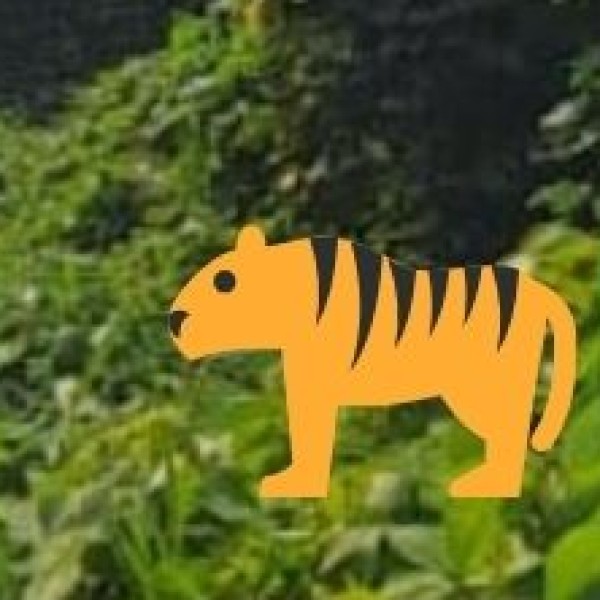 Sariska Tiger Reserve (Alwar)