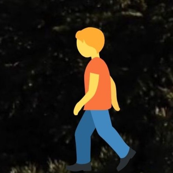Trekking & Nature Walks