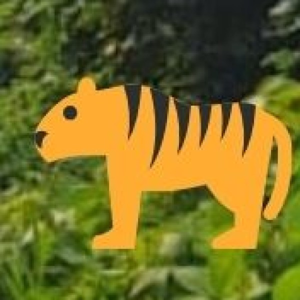 Tiger Safari in Ranthambore National Park