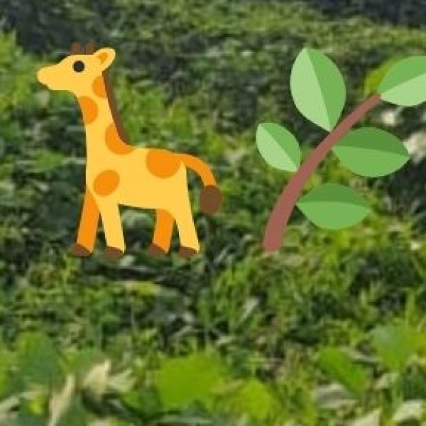 Dudhwa National Park – A Wildlife Paradise