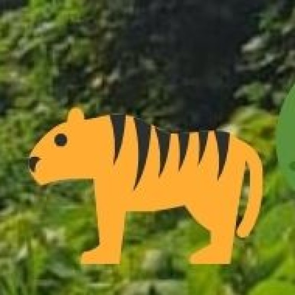 Achanakmar Tiger Reserve – A Jungle Safari Adventure