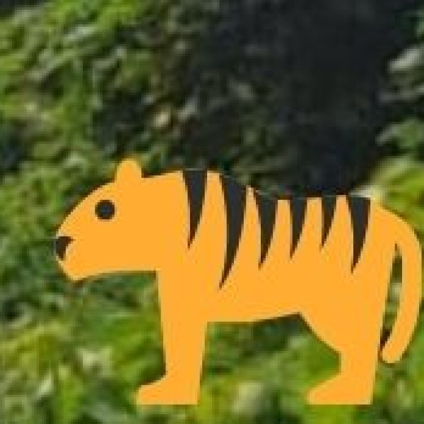Tadoba National Park – Maharashtra’s Best Tiger Safari