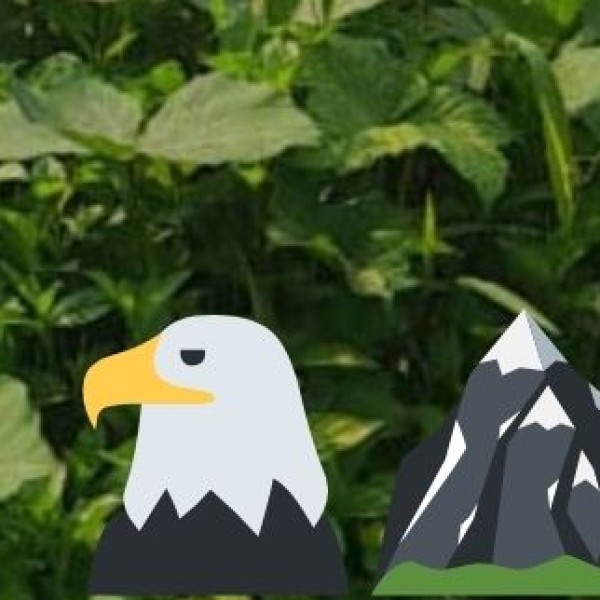 Simlipal National Park – A Wildlife & Nature Retreat