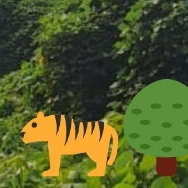 Kaziranga National Park – The Land of the One-Horned Rhino