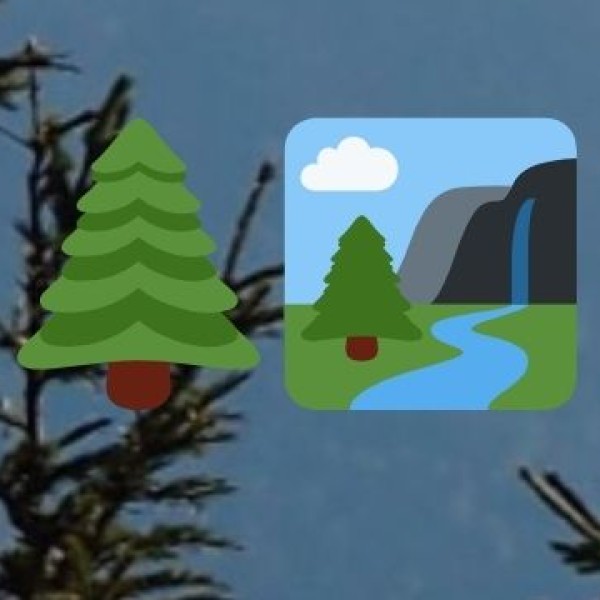 Waterfalls & Nature Reserves