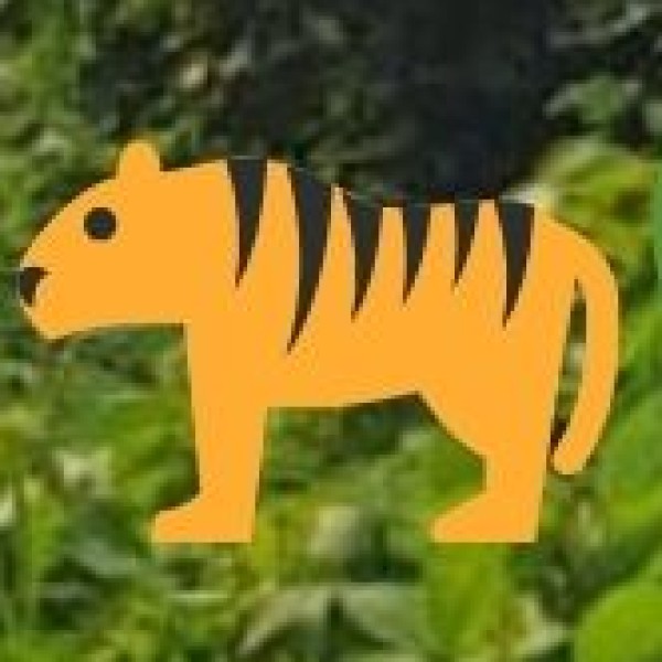 Bandhavgarh National Park – Tiger Haven of India