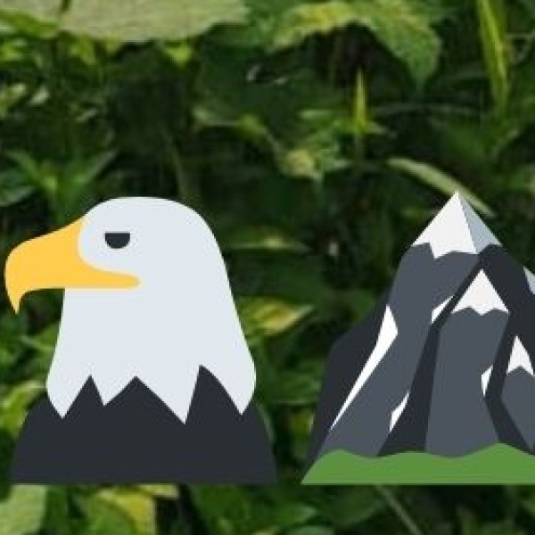 2. Unique Wildlife & National Parks