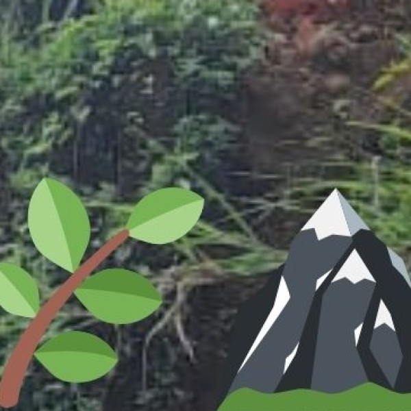 Ziro Valley – Arunachal’s Green Paradise