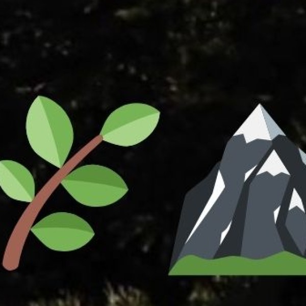 Wokha – Land of Lush Hills & Orchards