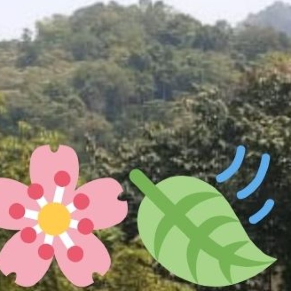Why Chhattisgarh Should Be Your Next Travel Destination?