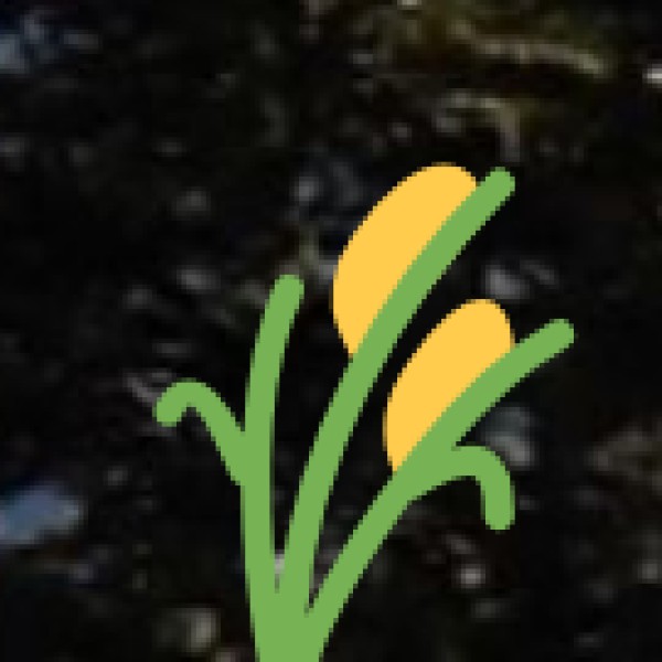 Ayurveda & Wellness Tourism in Uttar Pradesh