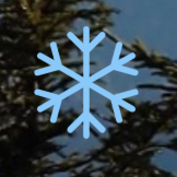 Vasishta Ayurveda Hospital – Hyderabad