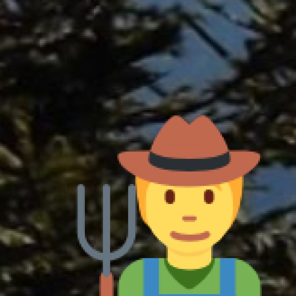 traditional Indian healing systems