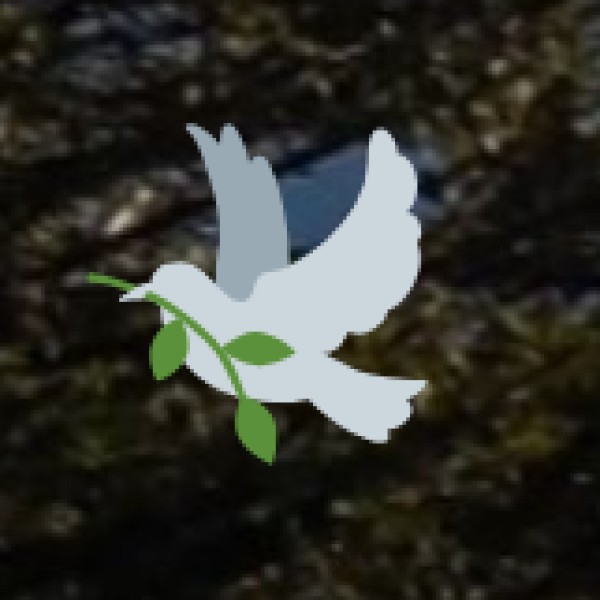 Ayurvedic Centers & Clinics