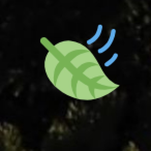 Understanding wellness Tourism