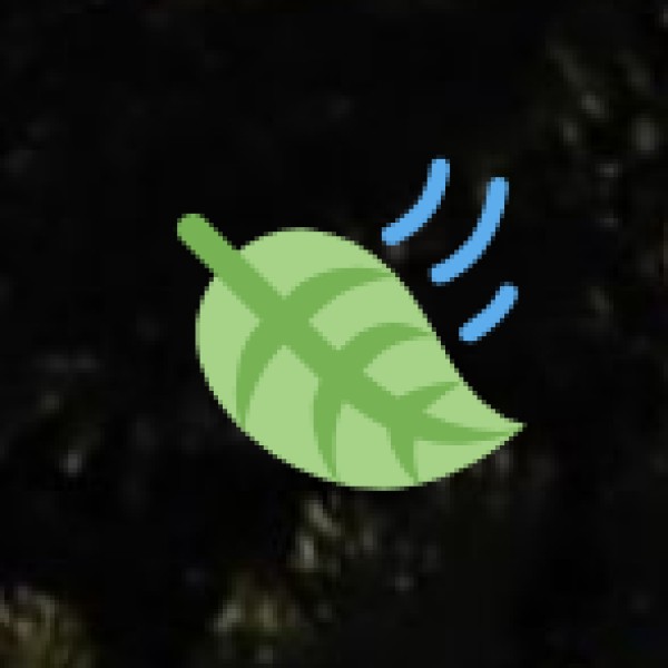 Ayurveda & Wellness Tourism