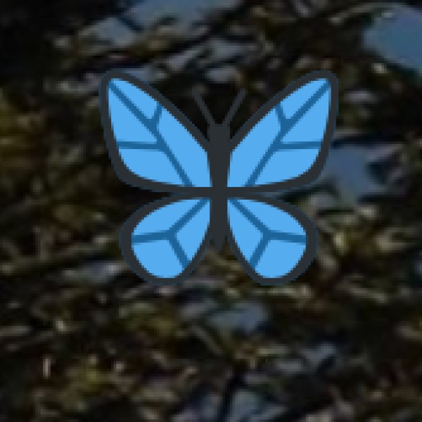 Maharashtra’s Ayurvedic Health Resorts and Spas