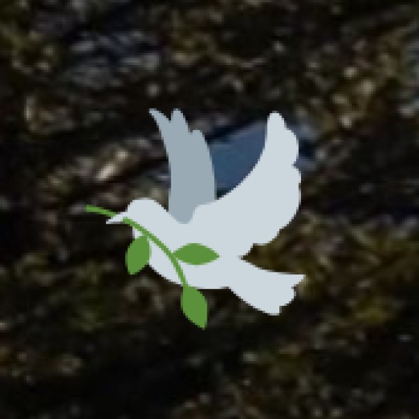 wellness experiences