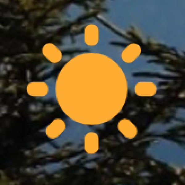 Government Initiatives to Promote Wellness Tourism