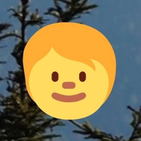 • Experienced Practitioners: