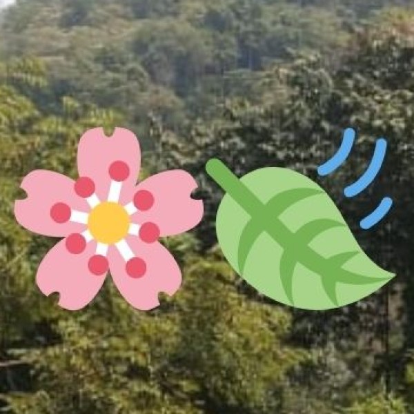 Ayurveda & Wellness Tourism in Karnataka: