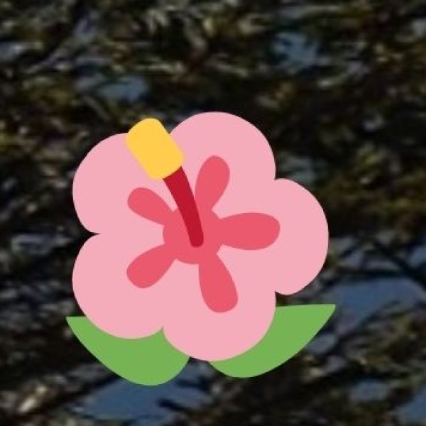 Coastal Wellness (Sun, sea & Ayurveda)