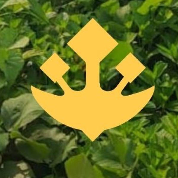 Challenges & Opportunities