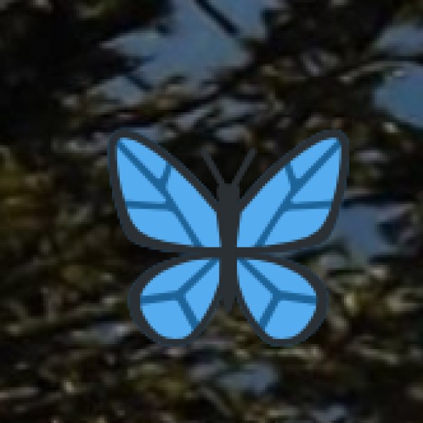 International & Domestic Wellness Tourists