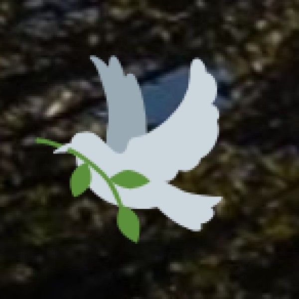 • Wellness Tourism: