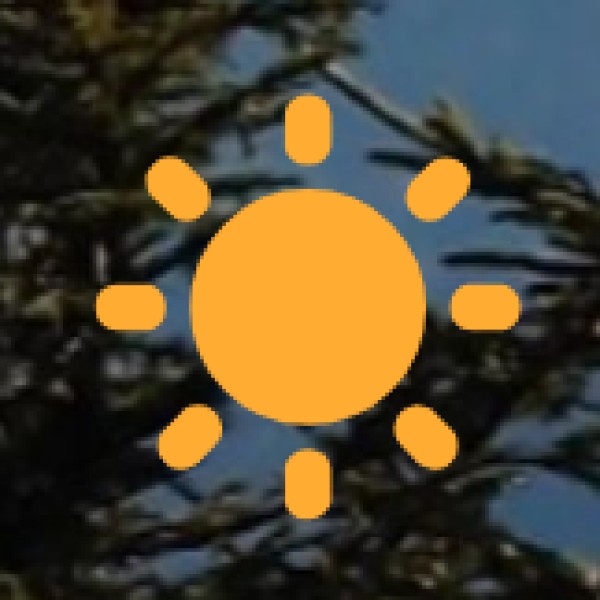 Services & Programs Offered