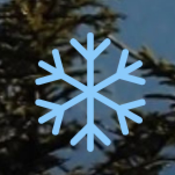 Understanding Ayurveda’s Roots in U.P.