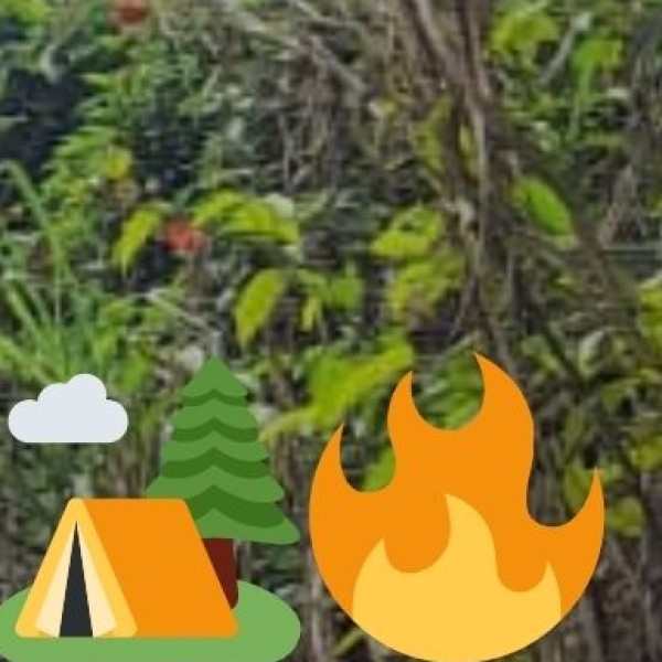 Wellness Retreats in Pachmarhi, Amarkantak, Mandla, Tamia