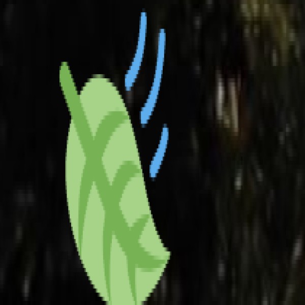 Himachal Pradesh & Sikkim