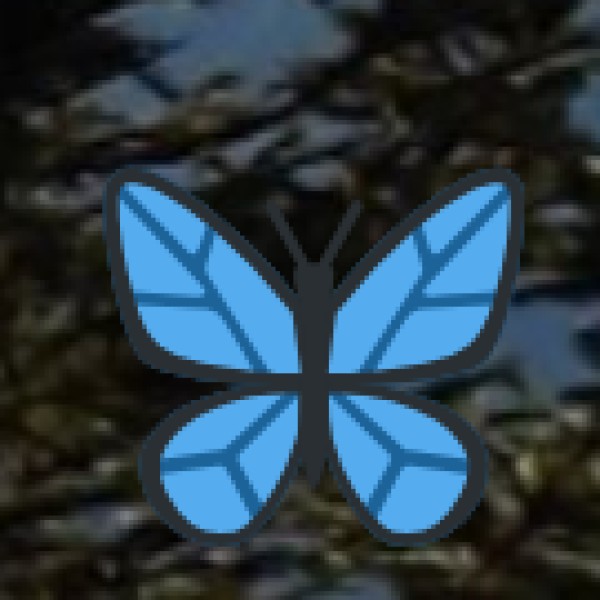 Challenges and Opportunities in Meghalaya: