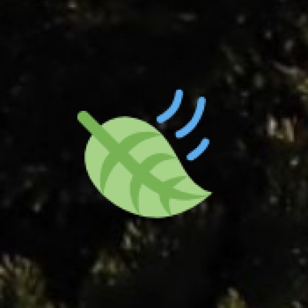 Notable Destinations: