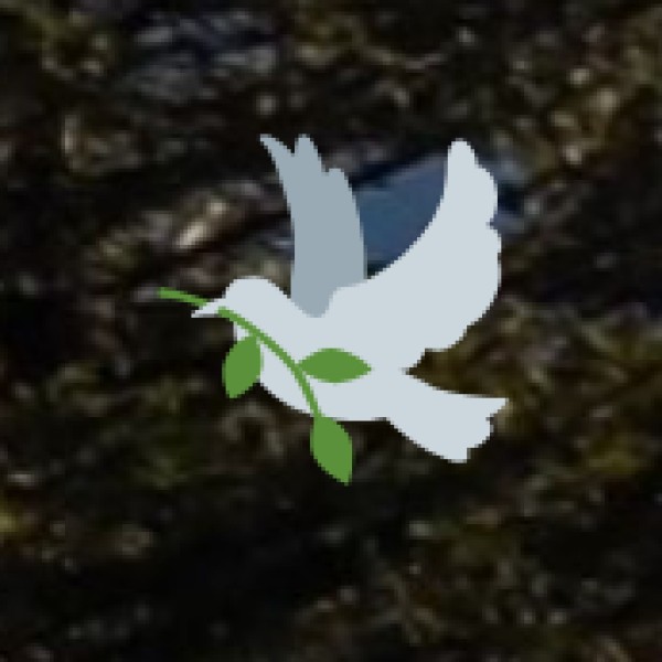 Herbal & Medicinal Plant Tourism