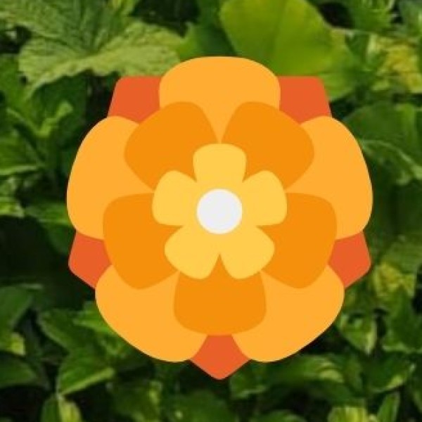 Yoga & Meditation Retreats