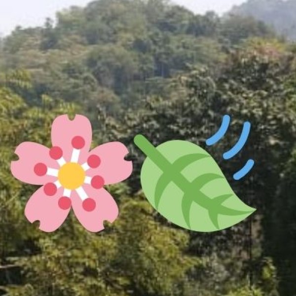 Luxury Ayurveda Resorts & Wellness Retreats