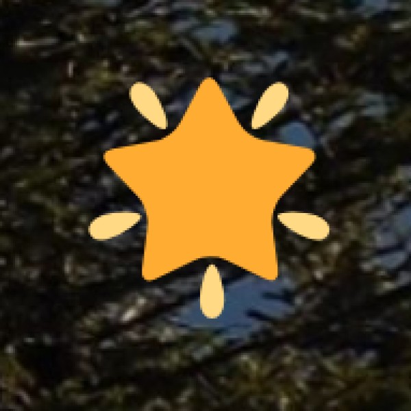 Regulatory Framework