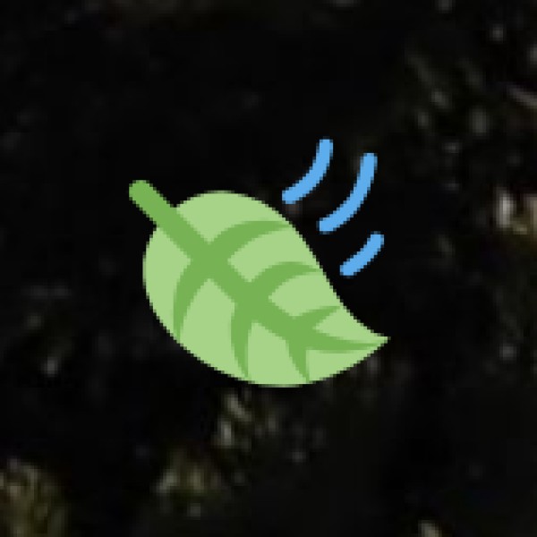 • Panchakarma Centers: