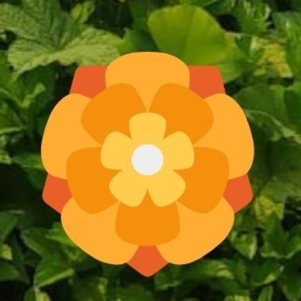 • Coastal Retreats for Mental Well-being: