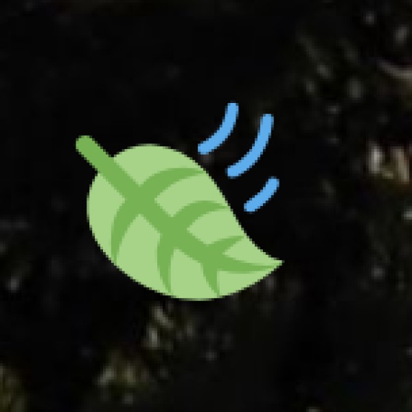 Wellness Offerings in Arunachal Pradesh