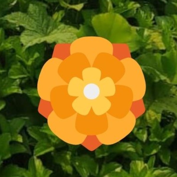 • Natural Environment: