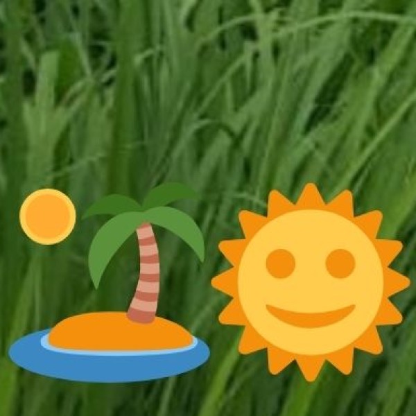 A Gateway to Holistic Healing