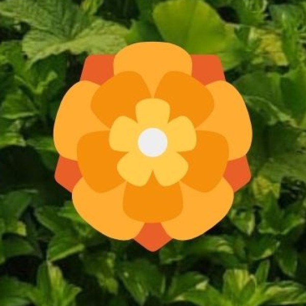 Where Traditional Healing Meets Natural Harmony”